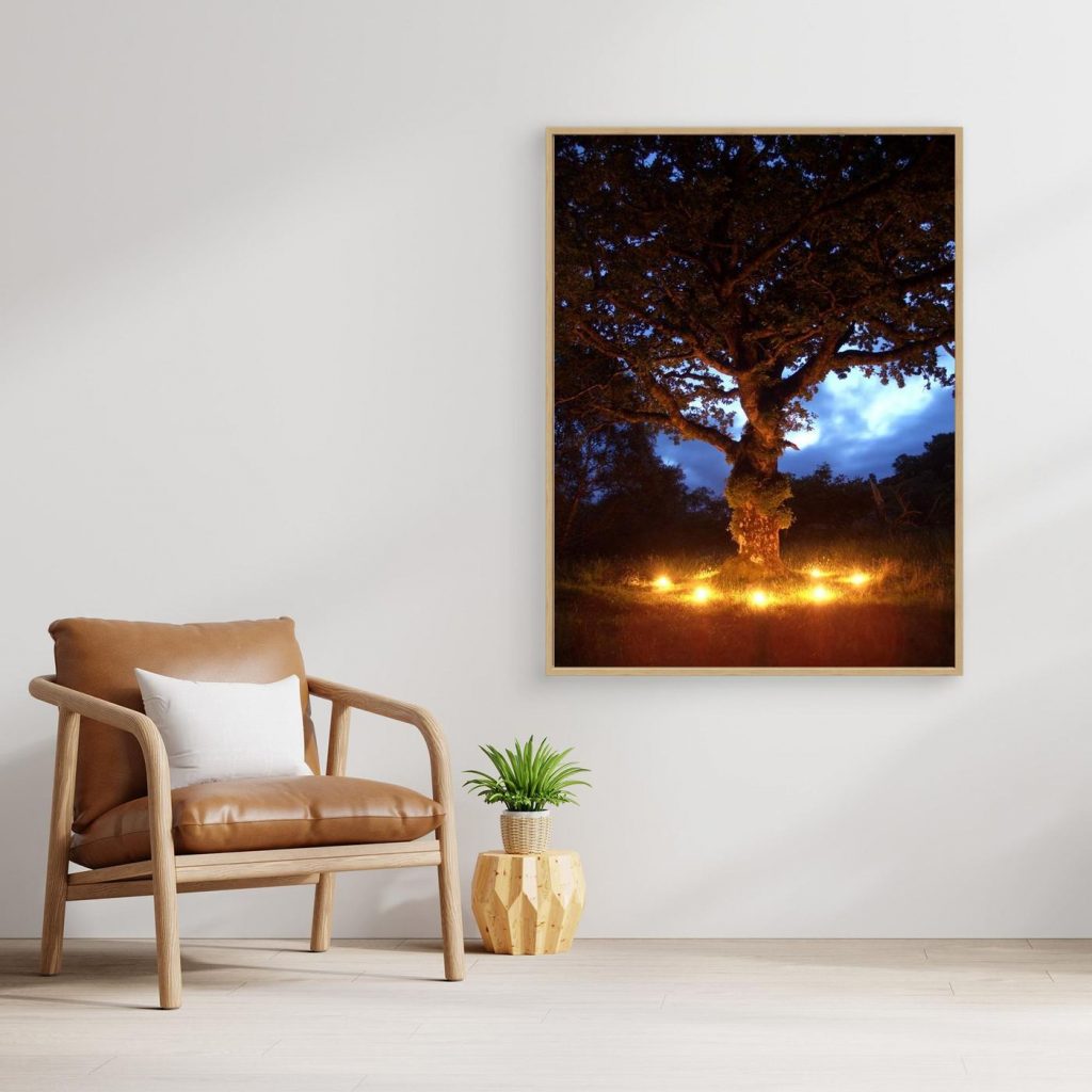 Oak Tree with Candles, Ord, Isle of Skye, Scotland